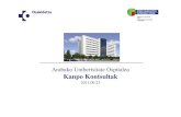 Kanpo Kontsultak-Arabako Unibertsitate Ospitalea.pdf