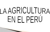 La agricultura en el Perú
