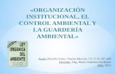 Organización Institucional, El Control Ambiental y la Guarderia Ambiental