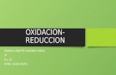Quimica oxidacion reduccion