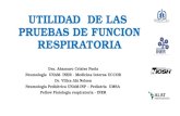 Utilidad de las pruebas de funcion respiratoria - Dr. Villca