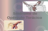 Síndrome de opérculo torácico y tratamiento en terapia ocupacional
