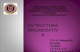 Estructura de las organizaciones