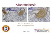 Mastocitosis seminario 2016
