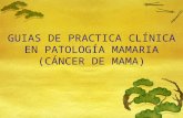 Guias de práctica clínica en patología mamaria