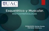histología sistema Esquelético y muscular