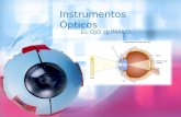 Instrumentos ópticos: El ojo humano
