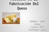 Procesos de la fabricación del queso