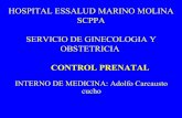 Control prenatal essalud