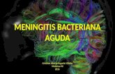 Meningitis bacteriana aguda en edad pediatrica