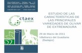 Estudio de las características de las principales variedades de olivar en Extremadura
