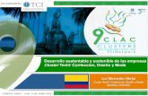 TCILatinAmerica16 Desarrollo Sustentable y Sostenible de las empresas Cluster Textil/Confección, Diseño y Moda