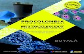 ProColombia guía de oportunidades Boyaca