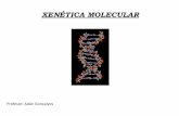 Xenética molecular