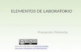 Elementos de laboratorio procaccini