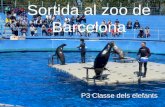 Sortida al zoo de barcelona P3