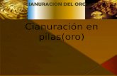 Cianuración en-pilasoro-2 reload