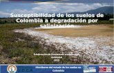 Susceptibilidad de los suelos de Colombia a salinización