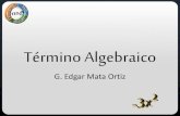 Término algebraico