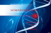 Bioquímica- la somatostatina