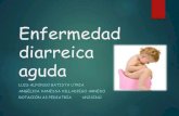 Enfermedad diarreica aguda- EDA Pediatria