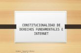 Constitucionalidad de derechos fundamentales e internet