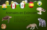 Animales en extinción de diferentes paises