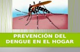 Prevención del dengue en el hogar