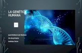 La genética humana presentacion