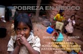 Pobreza en mexico (2)