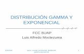 Distribución gamma y exponencial