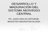 1. desarrollo y maduración del sistema nervioso central