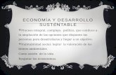 Economí y Desarrollo Sustentable- Tema:Contaminación.