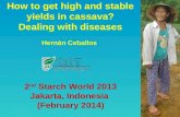 2013. Ceballos.  Cassava diseases