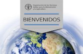 C-17-1_03 - Nuevas políticas de alimentación sostenible. La perspectiva de la FAO. Arturo ANGULO URARTE. (FAO España) 1/2