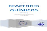 Apuntes de reactores químicos universidad de barcelona