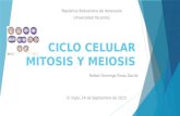 Ciclo celular mitosis y meios