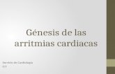 Génesis de las arritmias cardiacas