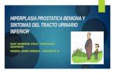Hiperplasia benigna de prostata