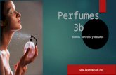 Presentación Perfumes 3b
