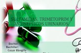 Sulfamidas, trimetoprim y antisepticos urinarios