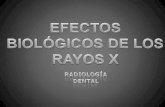 Efectos biologicos de los rayos x