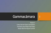 Gamma cámara