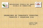 ORGÁNISMOS DE TRANSPORTE TERRESTRE, TRANSITO Y SEGURIDAD VIAL