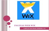 Paginas web wix
