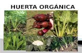Huerta orgánica.