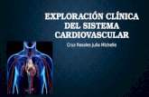 Exploración clínica del sistema cardiovascular