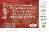 Guía práctica para la estandarización y evaluación de las canales bovinas mexicanas