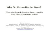Presentación Kati Suominen - eCommerce Crossborder