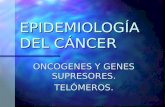 Epidemiología del cáncer.
